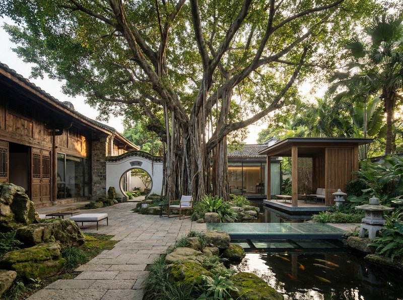 大象传媒古榕树纪录片视频