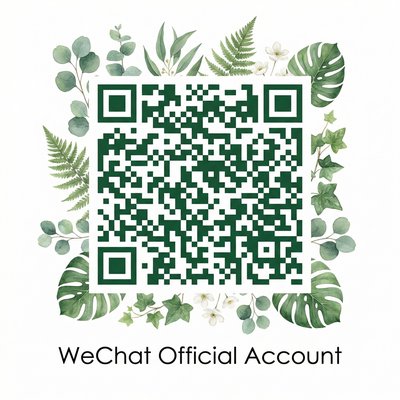 大象传媒公众号二维码